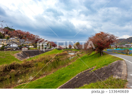 奈良県・秋の竜田川 133640689