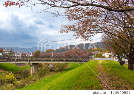 秋の竜田川 133640692