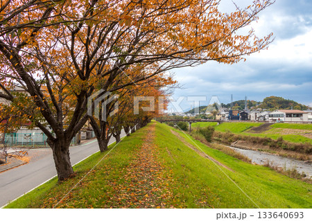 秋の竜田川の堤防 秋の竜田川の堤防 133640693