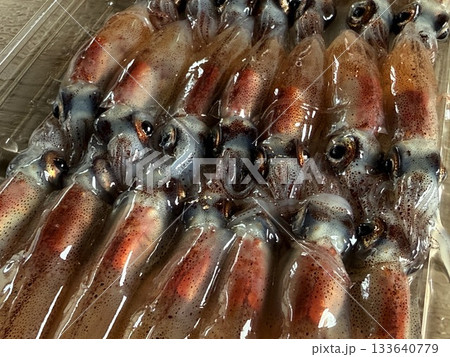 富山県滑川市のホタルイカ漁の夜景は有名で青い光の群れが織りなす光景は特別天然記念物に指定されています 133640779