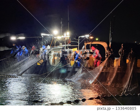 富山県滑川市のホタルイカ漁の夜景は有名で青い光の群れが織りなす光景は特別天然記念物に指定されています 富山県滑川市のホタルイカ漁の夜景は有名で青い光の群れが織りなす光景は特別天然記念物に指定されています 133640805
