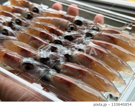 富山県滑川市のホタルイカ漁の夜景は有名で青い光の群れが織りなす光景は特別天然記念物に指定されています 133640854