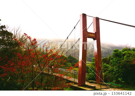 景色 風景 秋 133641142