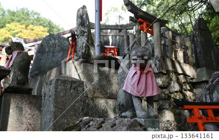 伏見稲荷大社のお稲荷様 133641161