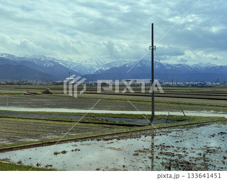 富山県朝日町の「春の四重奏」は、桜、野原の菜の花、チューリップ、立山連峰の4層の美しい景色。 富山県朝日町の「春の四重奏」は、桜、野原の菜の花、チューリップ、立山連峰の4層の美しい景色。 133641451