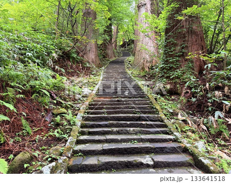杉並木に囲まれた羽黒山の石段 133641518
