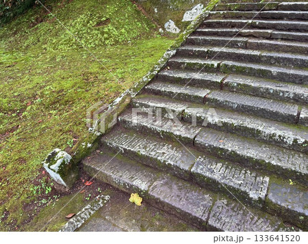 杉並木に囲まれた羽黒山の石段 133641520