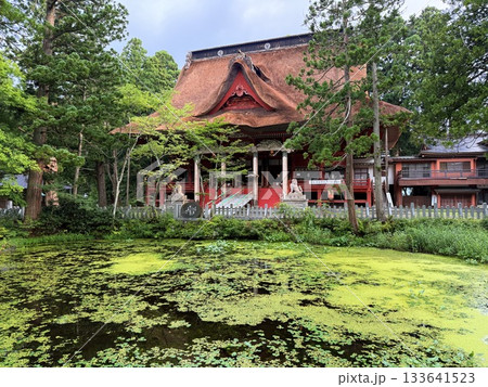 杉並木に囲まれた羽黒山の石段 133641523