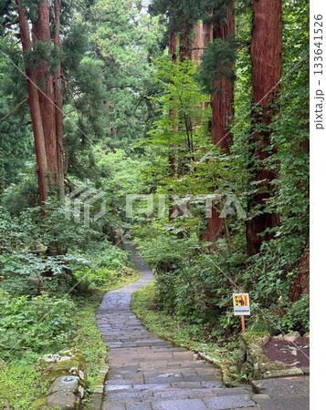 杉並木に囲まれた羽黒山の石段 杉並木に囲まれた羽黒山の石段 133641526