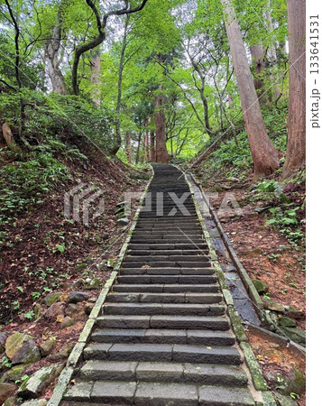 杉並木に囲まれた羽黒山の石段 杉並木に囲まれた羽黒山の石段 133641531