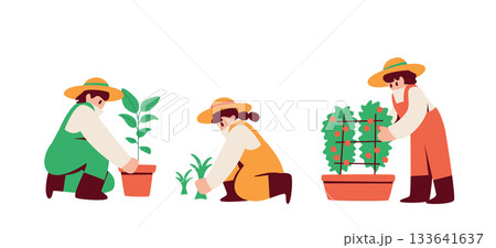 ガーデニングを楽しむ人々　鉢植え　植え替え　プランター栽培 133641637