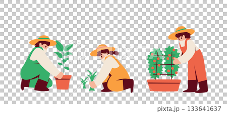 ガーデニングを楽しむ人々　鉢植え　植え替え　プランター栽培 133641637