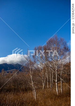 〈栃木県〉日光　秋の終わりの戦場ヶ原 133642544