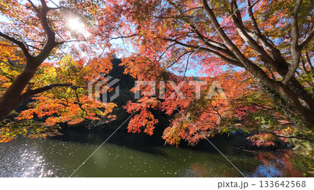 鎌北湖 紅葉 鎌北湖 紅葉 133642568