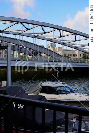 淀川の大川河川公園の情景 133642613