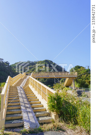 【千葉県勝浦市】浜行川歩道橋 133642731
