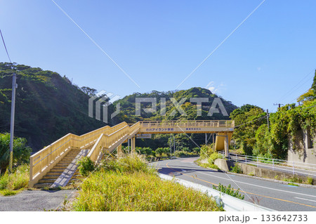 【千葉県勝浦市】浜行川歩道橋と国道128号(外房黒潮ライン) 133642733