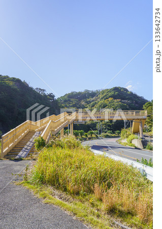 【千葉県勝浦市】浜行川歩道橋と国道128号(外房黒潮ライン) 133642734