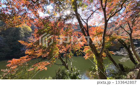 鎌北湖 紅葉 鎌北湖 紅葉 133642807