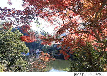 鎌北湖　紅葉 133642812