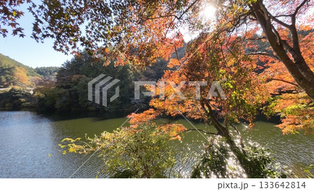 鎌北湖 紅葉 鎌北湖 紅葉 133642814