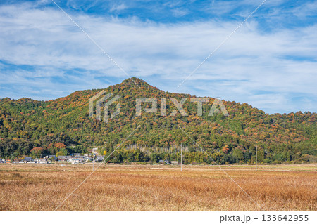 滋賀県近江八幡市円山町の田園風景 滋賀県近江八幡市円山町の田園風景 133642955