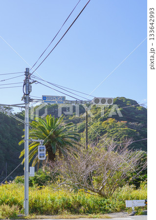 【千葉県勝浦市】行川アイランド前・交差点付近 133642993