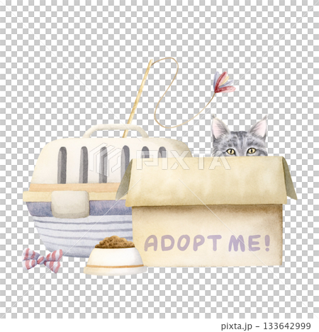 Adopt me concept with funny gray cat in box with toys, carrier and food bowl watercolor isolated illustration. Hand drawn pet clip art for animal veterinary designs, rescue and adoption centers Adopt me concept with funny gray cat in box with toys, carrier and food bowl watercolor isolated illustration. Hand drawn pet clip art for animal veterinary designs, rescue and adoption centers 133642999