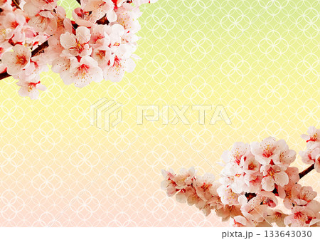 和柄の背景 七宝 和柄の背景 七宝 133643030