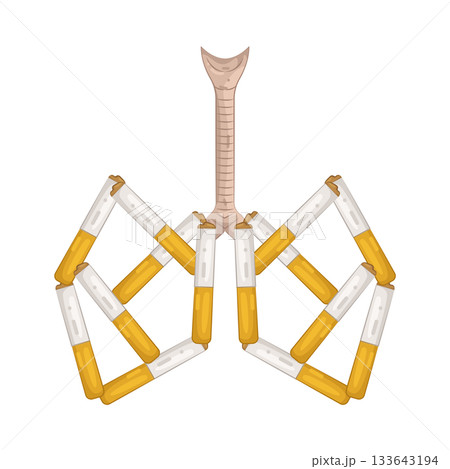 Illustration of cigarette shaped lungs  133643194