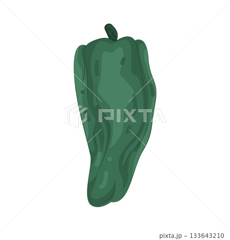 Illustration of poblano pepper Illustration of poblano pepper 133643210