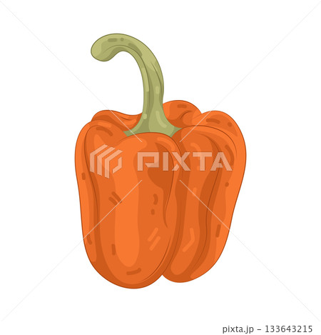 Illustration of bell pepper  133643215
