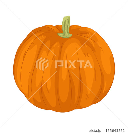 Illustration of pumpkin Illustration of pumpkin 133643231