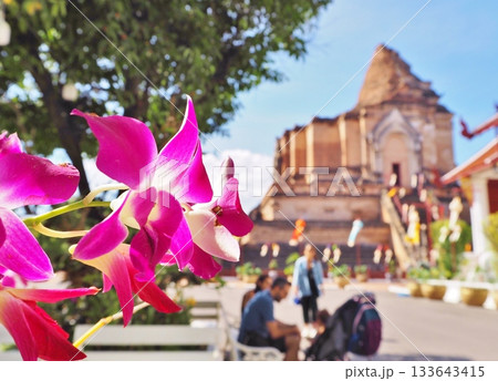 ワットチェディルアン 133643415