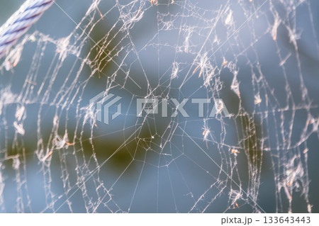 The spider web (cobweb) closeup background. The spider web (cobweb) closeup background. 133643443