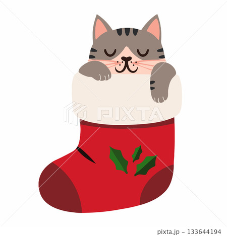 Adorable tabby kitten peeking out from inside a red christmas stocking, a cute vector illustration for holiday pet themes and greetings Adorable tabby kitten peeking out from inside a red christmas stocking, a cute vector illustration for holiday pet themes and greetings 133644194