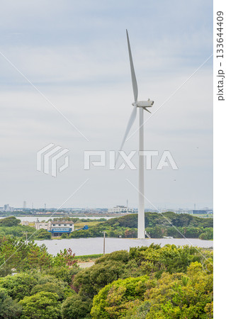 磐田市竜洋海洋公園の風景(静岡県) 133644409