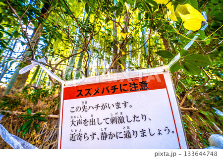 日本の横浜都市景観 スズメバチに注意 ダメ!。「この先ハチがいます。大声を出して刺激したり…。」 日本の横浜都市景観 スズメバチに注意 ダメ!。「この先ハチがいます。大声を出して刺激したり…。」 133644748
