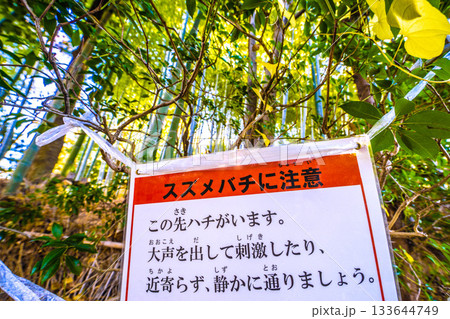 日本の横浜都市景観 スズメバチに注意 ダメ!。「この先ハチがいます。大声を出して刺激したり…。」 日本の横浜都市景観 スズメバチに注意 ダメ!。「この先ハチがいます。大声を出して刺激したり…。」 133644749