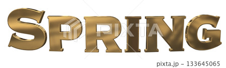 3DCG文字「Spring(スプリング,春)」タイトル 3DCG文字「Spring(スプリング,春)」タイトル 133645065