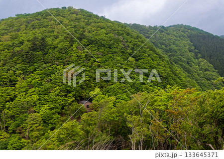 新緑の丹沢・大室山と犬越路避難小屋 133645371
