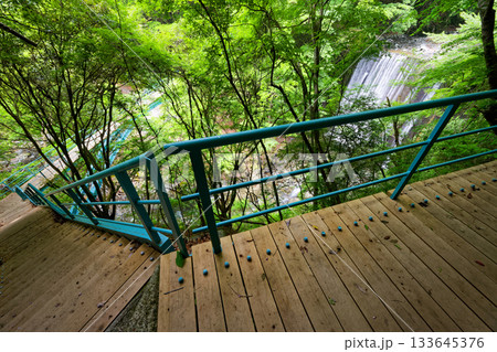 新緑の西丹沢・用木沢公園橋 133645376