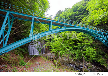 新緑の西丹沢・用木沢公園橋 133645379