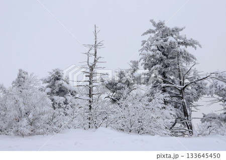 Deogyusan national park covered in white snow. Muju-gun, Korea. 133645450