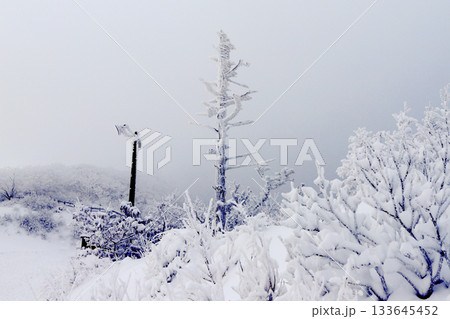 Deogyusan national park covered in white snow. Muju-gun, Korea. Deogyusan national park covered in white snow. Muju-gun, Korea. 133645452