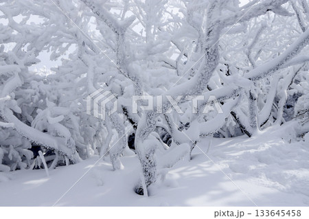 Deogyusan national park covered in white snow. Muju-gun, Korea. Deogyusan national park covered in white snow. Muju-gun, Korea. 133645458