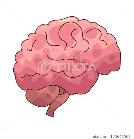 illustration of brain illustration of brain 133645562