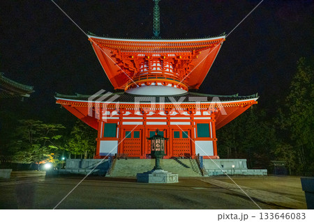 高野山　壇上伽藍　根本大塔 133646083