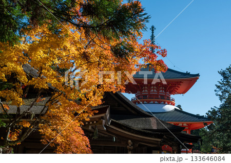 高野山　壇上伽藍　根本大塔 133646084