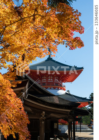 高野山　壇上伽藍　根本大塔 133646085